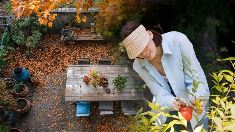 Ces gestes simples pour transformer votre jardin cet automne et impressionner vos invités