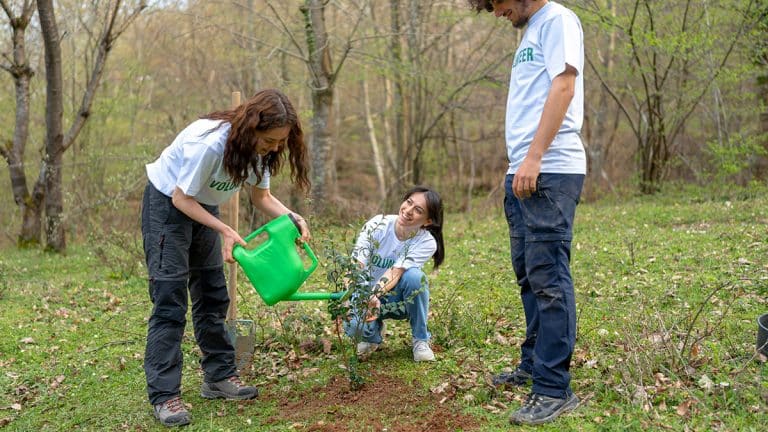 Les secrets du timing parfait pour planter vos arbres : Choisissez entre automne et printemps pour un jardin luxuriant