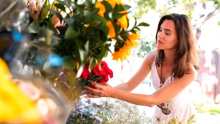 Préparez votre jardin pour accueillir la reine de l’hiver et assurez-vous une floraison qui émerveillera