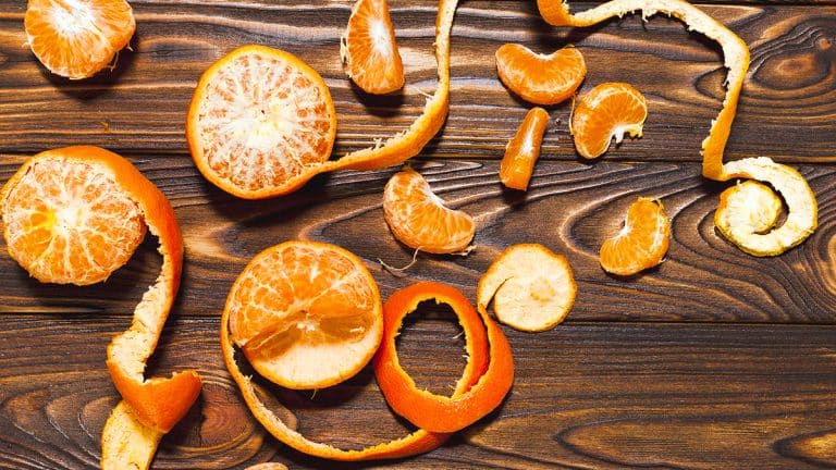 Vous jetez vos écorces d’agrumes ? Voici pourquoi elles méritent une place de choix dans votre compost